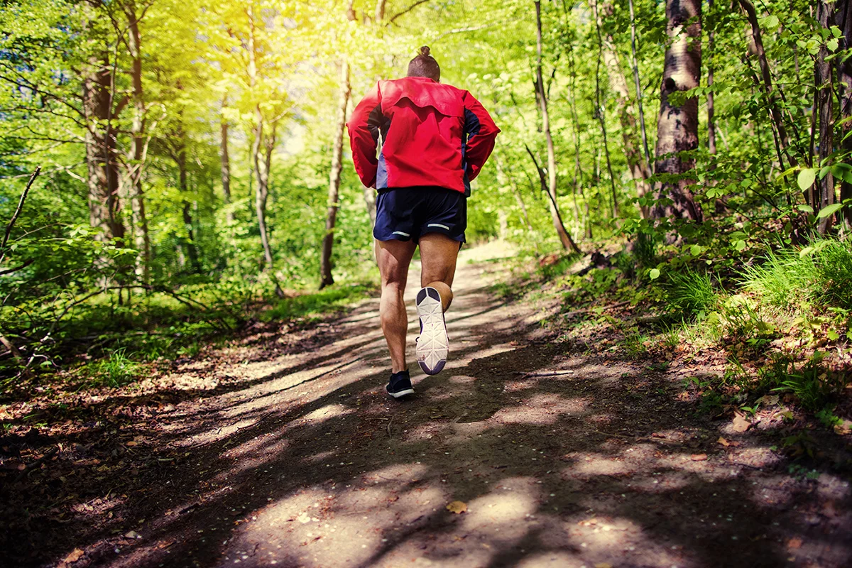 fit young man jogging along a path in the forest